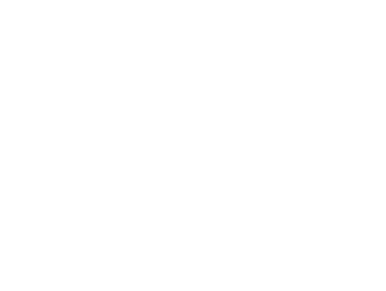 Franchise consultant